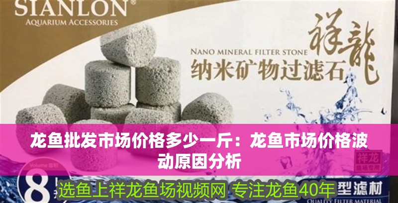 龍魚批發(fā)市場(chǎng)價(jià)格多少一斤：龍魚市場(chǎng)價(jià)格波動(dòng)原因分析