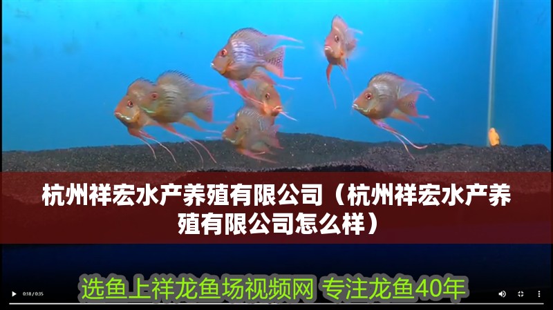 <strong><mark>杭州</mark></strong>祥宏水產養殖有限公司（<strong><mark>杭州</mark></strong>祥宏水產養殖有限公司怎么樣）