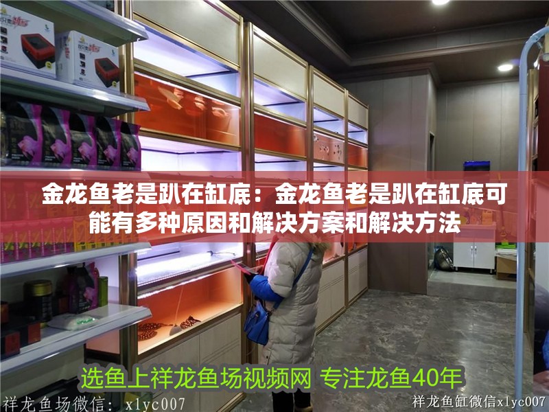 金龍魚(yú)老是趴在缸底：金龍魚(yú)老是趴在缸底可能有多種原因和解決方案和解決方法