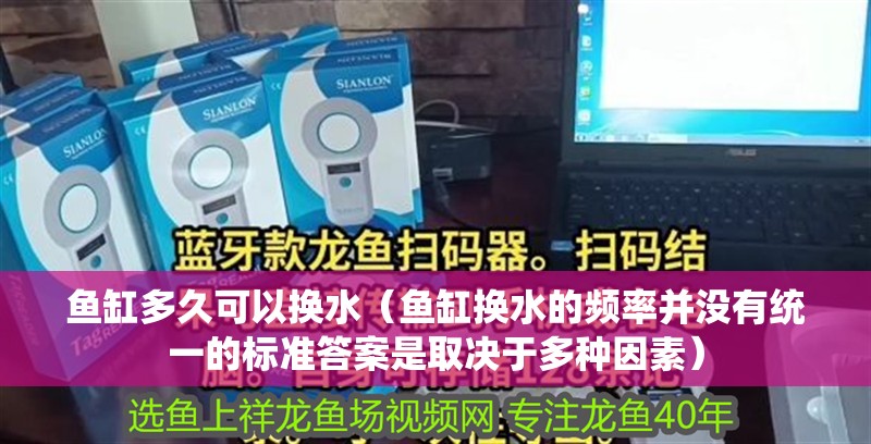 魚缸多久可以換水（魚缸換水的頻率并沒有統(tǒng)一的標(biāo)準(zhǔn)答案是取決于多種因素） 魚缸多久可以換水（魚缸換水的頻率并沒有統(tǒng)一的標(biāo)準(zhǔn)答案是取決于多種因素） 魚缸百科