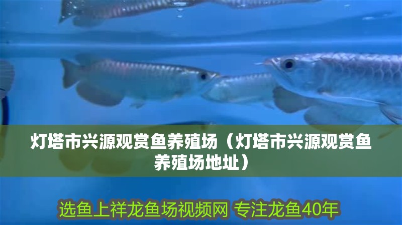 燈塔市興源觀賞魚養殖場（燈塔市興源觀賞魚養殖場地址）