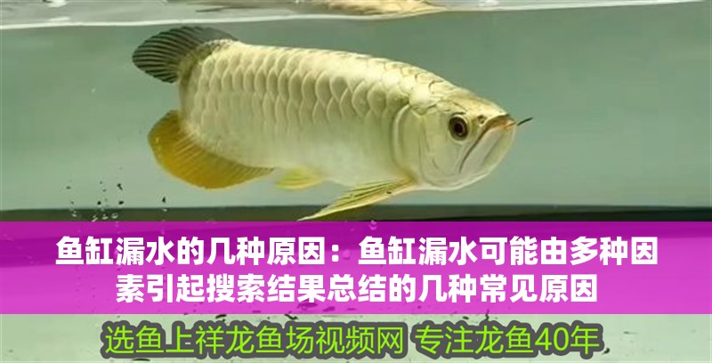 龍魚干蝦有營養嗎 魚缸漏水的幾種原因:魚缸漏水可能由多種因素引起搜索結果總結的幾種常見原因 魚缸百科 魚缸漏水的幾種原因:魚缸漏水可能由多種因素引起搜索結果總結的幾種常見原因 魚缸漏水的幾種原因:魚缸漏水可能由多種因素引起搜索結果總結的幾種常見原因 魚缸百科