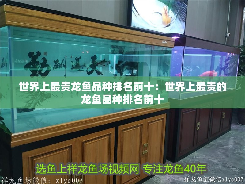 世界上最貴龍魚品種排名前十：世界上最貴的龍魚品種排名前十