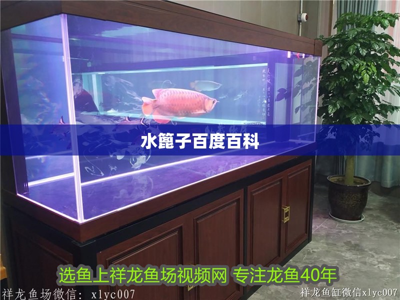 水篦子百度百科 水篦子百度百科 龍魚論壇