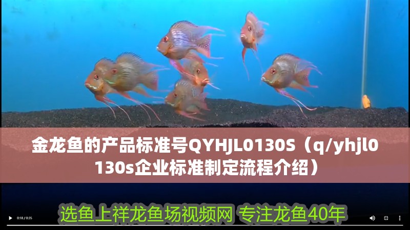 金龍魚的產(chǎn)品標(biāo)準(zhǔn)號QYHJL0130S（q/yhjl0130s企業(yè)標(biāo)準(zhǔn)制定流程介紹）