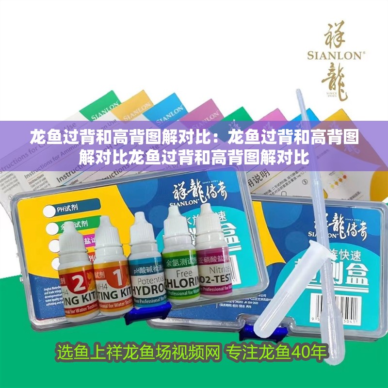 龍魚過背和高背圖解對比：龍魚過背和高背圖解對比龍魚過背和高背圖解對比