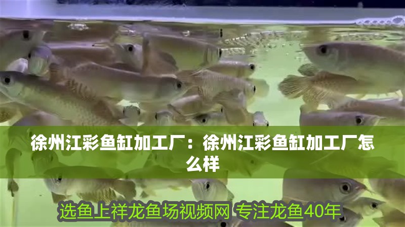 徐州江彩魚缸加工廠：徐州江彩魚缸加工廠怎么樣 徐州江彩魚缸加工廠：徐州江彩魚缸加工廠怎么樣 魚缸百科