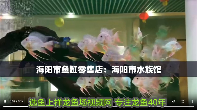 海陽市魚缸零售店：海陽市水族館