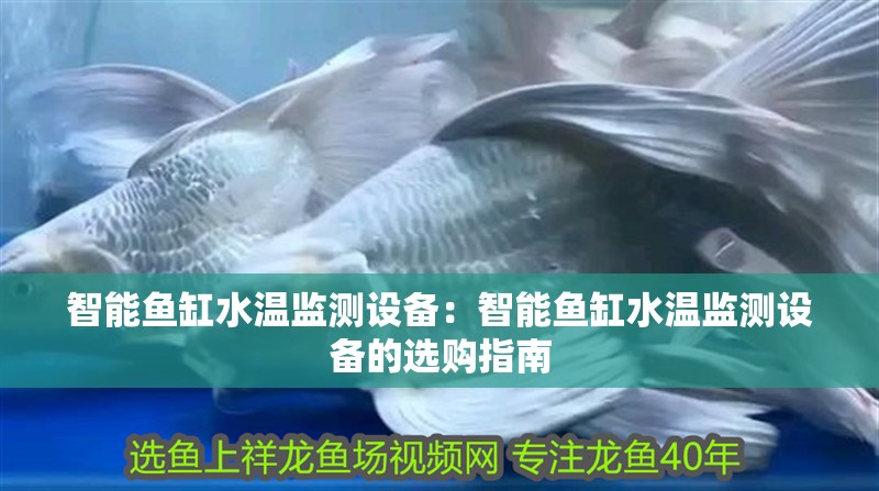 智能魚缸水溫監測設備：智能魚缸水溫監測設備的選購指南