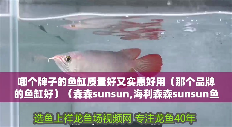 哪個牌子的魚缸質量好又實惠好用（那個品牌的魚缸好）（森森sunsun,海利森森sunsun魚缸品牌十大排名）