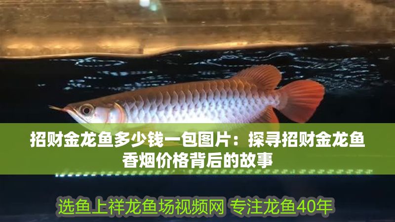 招財金龍魚多少錢一包圖片：探尋招財金龍魚香煙價格背后的故事