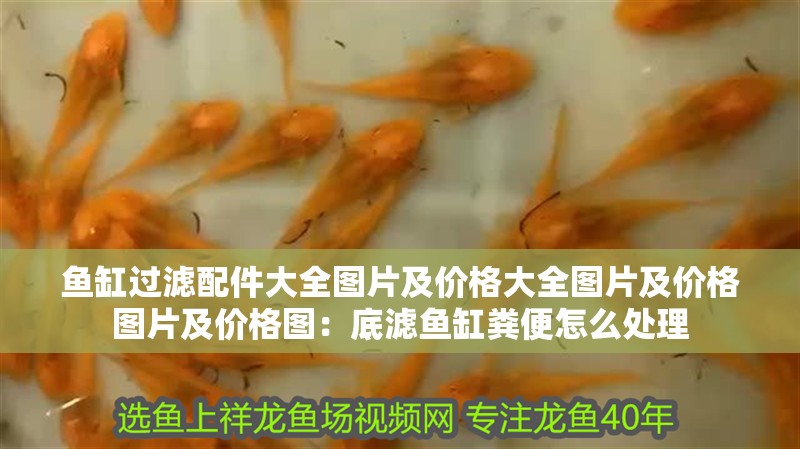 魚缸過濾配件大全圖片及價格大全圖片及價格圖片及價格圖：底濾魚缸糞便怎么處理