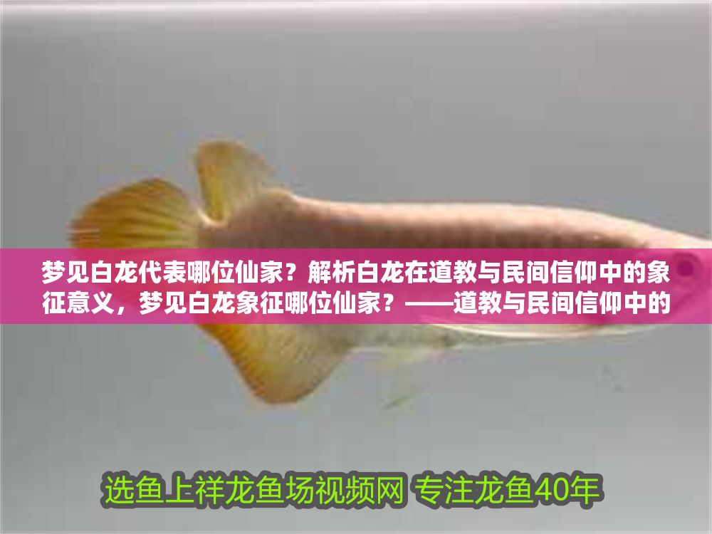 夢見白龍代表哪位仙家？解析白龍在道教與民間信仰中的象征意義，夢見白龍象征哪位仙家？——道教與民間信仰中的白龍寓意解析