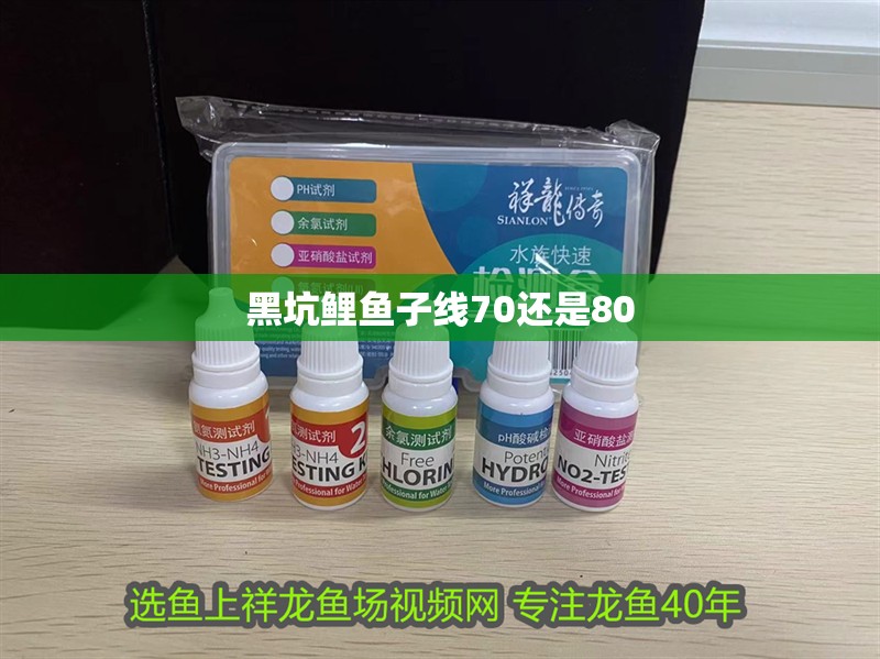 黑坑鯉魚子線70還是80