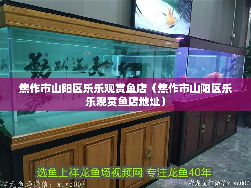 焦作市山陽區樂樂觀賞魚店（焦作市山陽區樂樂觀賞魚店地址）