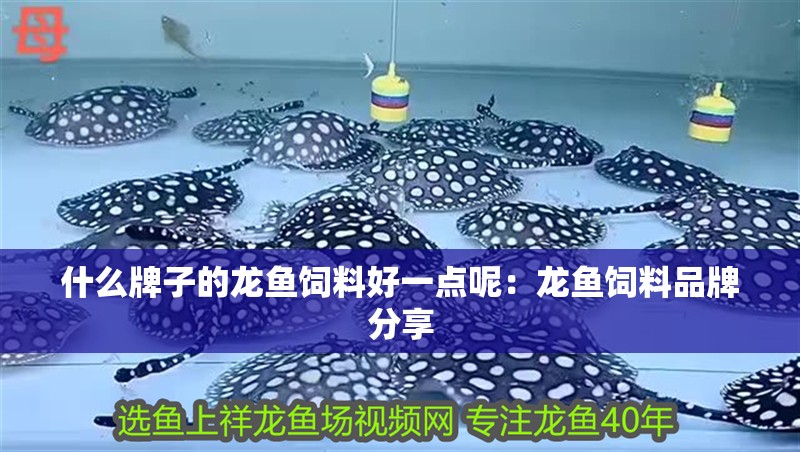 什么牌子的龍魚飼料好一點呢：龍魚飼料品牌分享