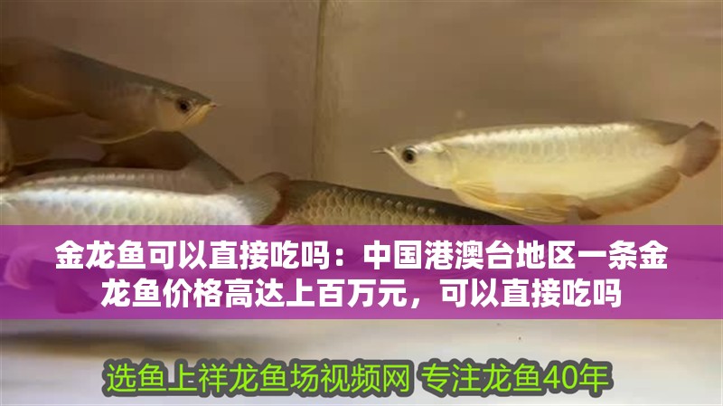 金龍魚可以直接吃嗎：中國港澳臺地區(qū)一條金龍魚價格高達上百萬元，可以直接吃嗎