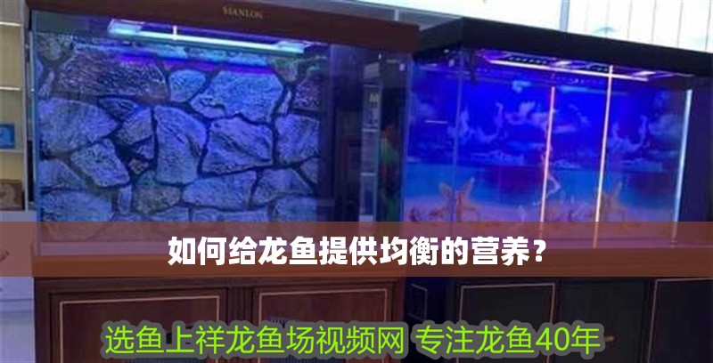 如何給龍魚提供均衡的營養(yǎng)？