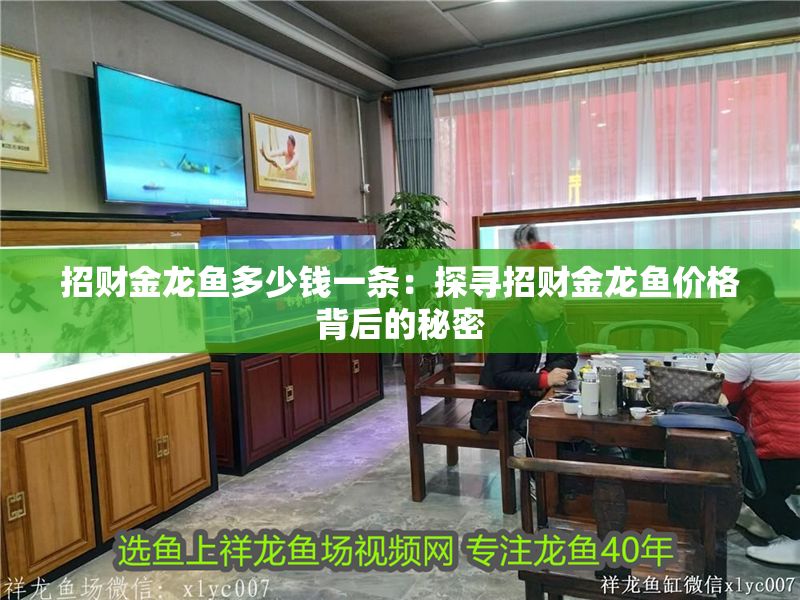 招財金龍魚多少錢一條：探尋招財金龍魚價格背后的秘密