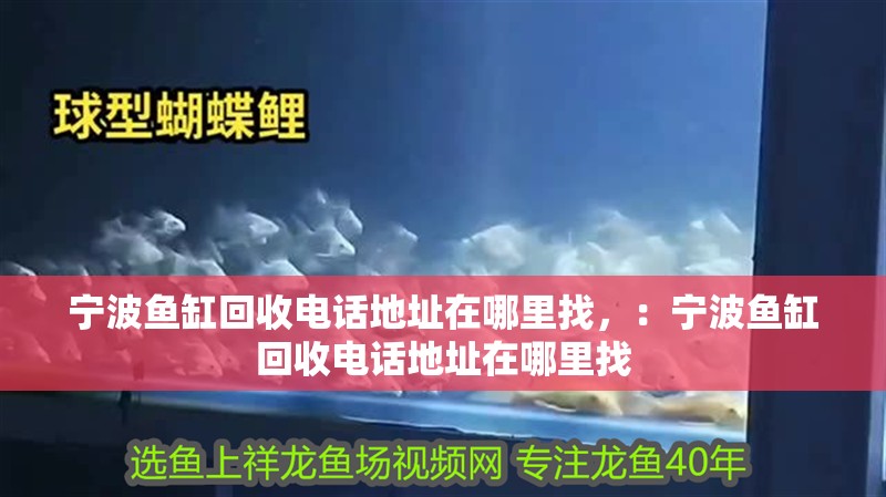 寧波魚缸回收電話地址在哪里找，：寧波魚缸回收電話地址在哪里找