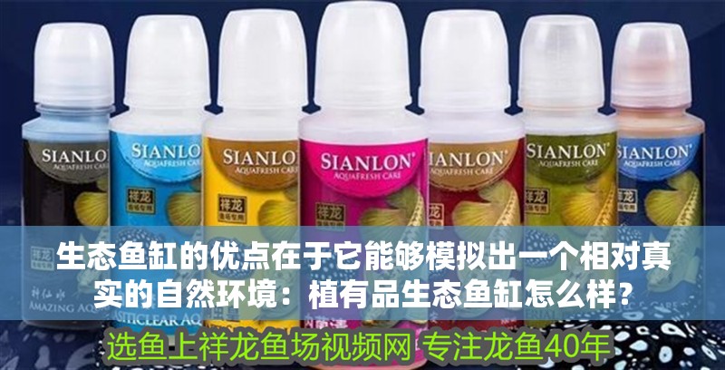 生態魚缸的優點在于它能夠模擬出一個相對真實的自然環境：植有品生態魚缸怎么樣？ 生態魚缸的優點在于它能夠模擬出一個相對真實的自然環境：植有品生態魚缸怎么樣？ 魚缸百科