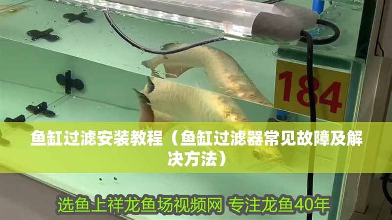 魚(yú)缸過(guò)濾安裝教程（魚(yú)缸過(guò)濾器常見(jiàn)故障及解決方法）