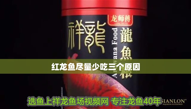 紅龍魚盡量少吃三個原因