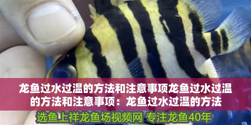 龍魚(yú)過(guò)水過(guò)溫的方法和注意事項(xiàng)龍魚(yú)過(guò)水過(guò)溫的方法和注意事項(xiàng)：龍魚(yú)過(guò)水過(guò)溫的方法