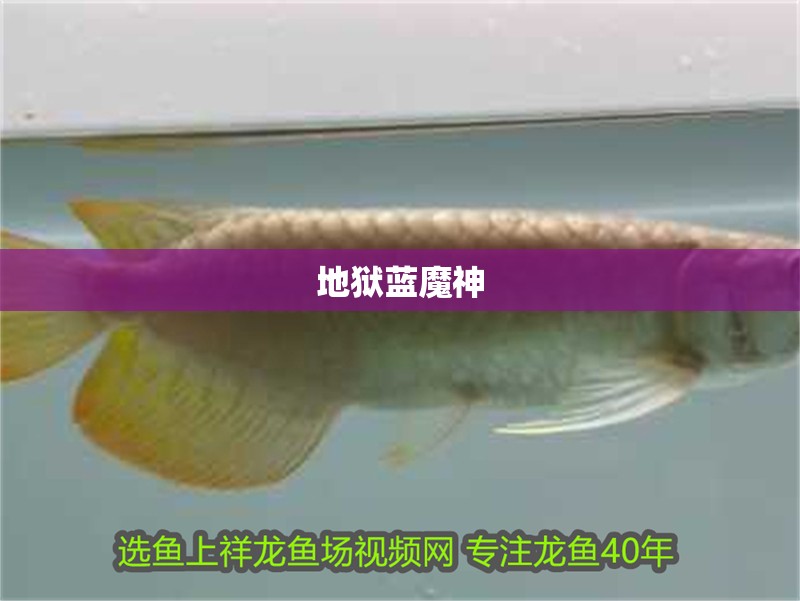 地獄藍魔神