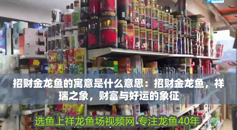招財金龍魚的寓意是什么意思：招財金龍魚，祥瑞之象，財富與好運的象征
