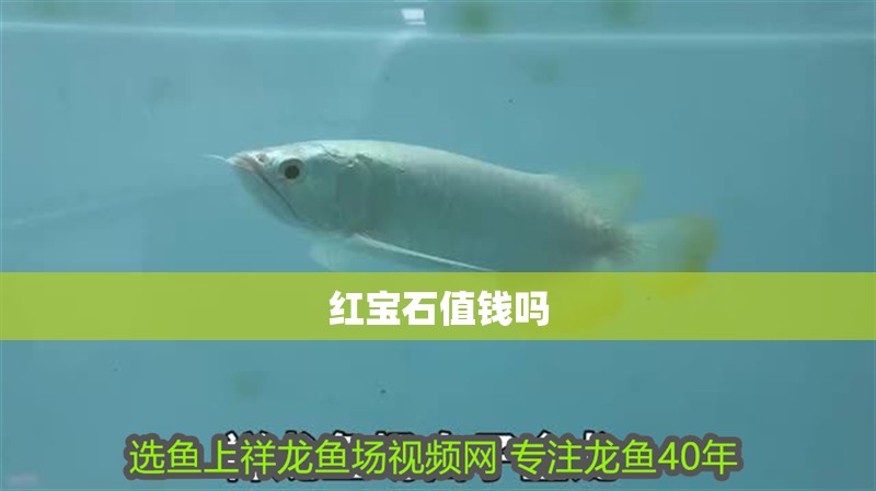 紅寶石值錢嗎