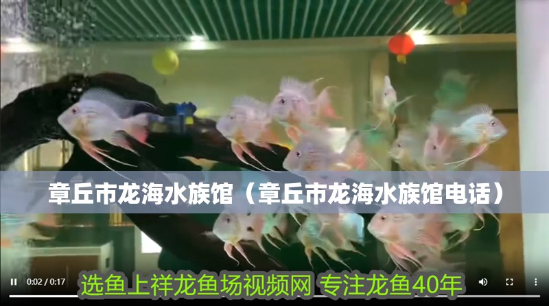 章丘市龍海水族館（章丘市龍海水族館電話）