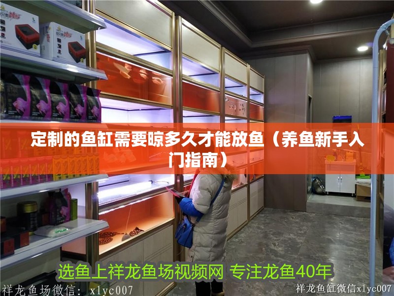 定制的魚缸需要晾多久才能放魚（養魚新手入門指南） 定制的魚缸需要晾多久才能放魚（養魚新手入門指南） 魚缸百科