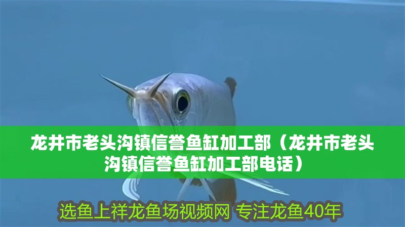 龍井市老頭溝鎮信譽魚缸加工部（龍井市老頭溝鎮信譽魚缸加工部電話）