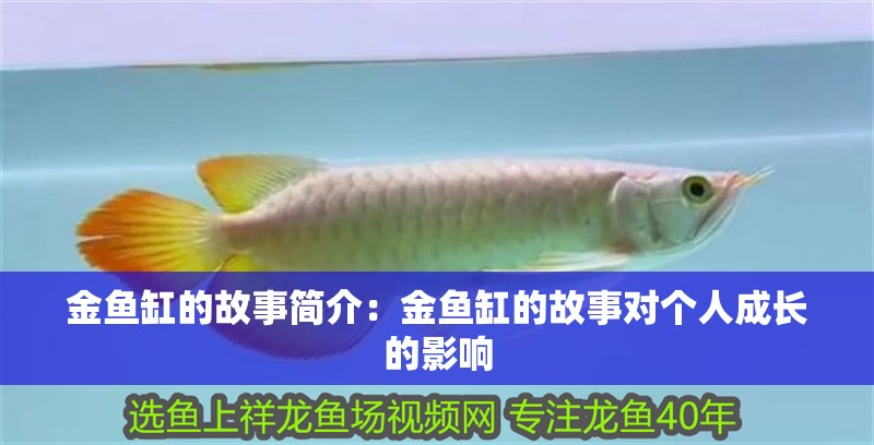 金魚缸的故事簡介：金魚缸的故事對個人成長的影響