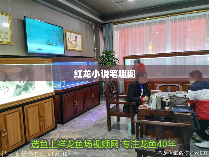 紅龍小說筆趣閣 紅龍小說筆趣閣 龍魚論壇