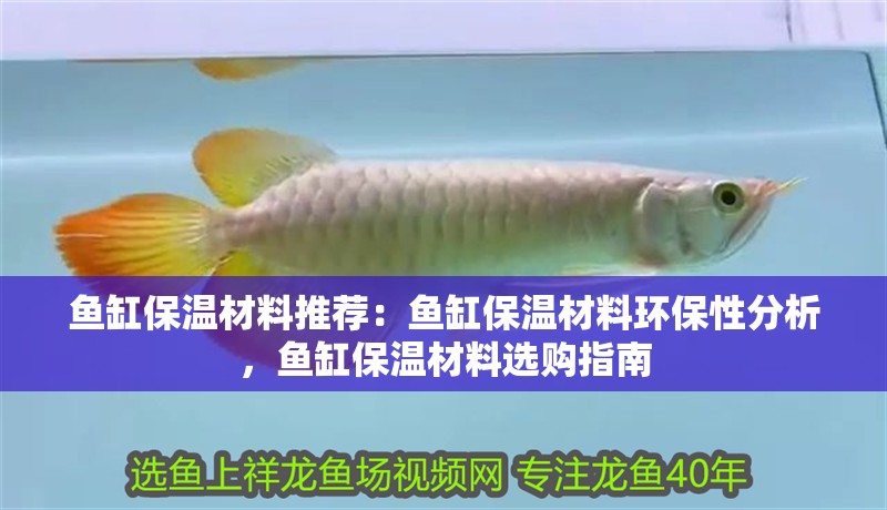 魚(yú)缸保溫材料推薦：魚(yú)缸保溫材料環(huán)保性分析，魚(yú)缸保溫材料選購(gòu)指南 魚(yú)缸保溫材料推薦：魚(yú)缸保溫材料環(huán)保性分析，魚(yú)缸保溫材料選購(gòu)指南 魚(yú)缸百科