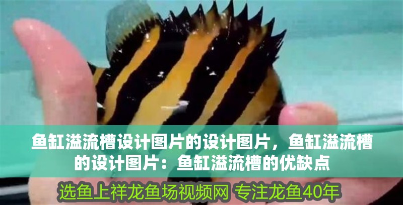 紅龍魚用黃燈烤有用嗎 魚缸溢流槽設計圖片的設計圖片,魚缸溢流槽的設計圖片:魚缸溢流槽的優缺點 魚缸百科 魚缸溢流槽設計圖片的設計圖片,魚缸溢流槽的設計圖片:魚缸溢流槽的優缺點 魚缸溢流槽設計圖片的設計圖片,魚缸溢流槽的設計圖片:魚缸溢流槽的優缺點 魚缸百科