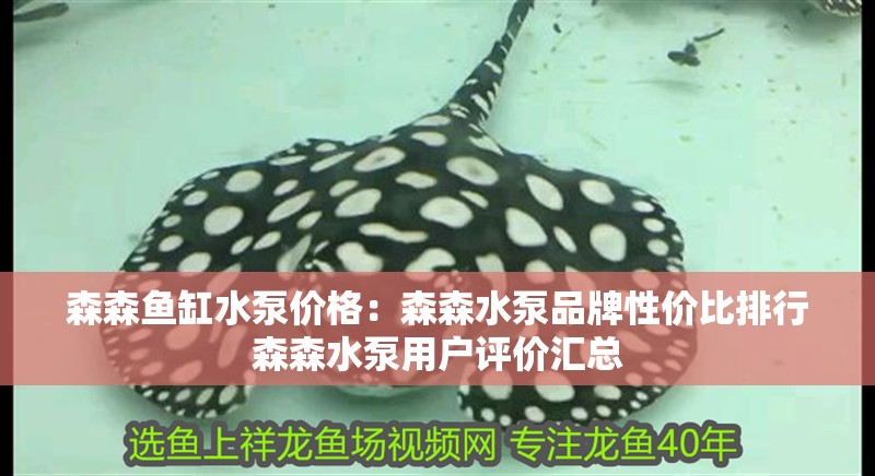 森森魚缸水泵價格：森森水泵品牌性價比排行森森水泵用戶評價匯總