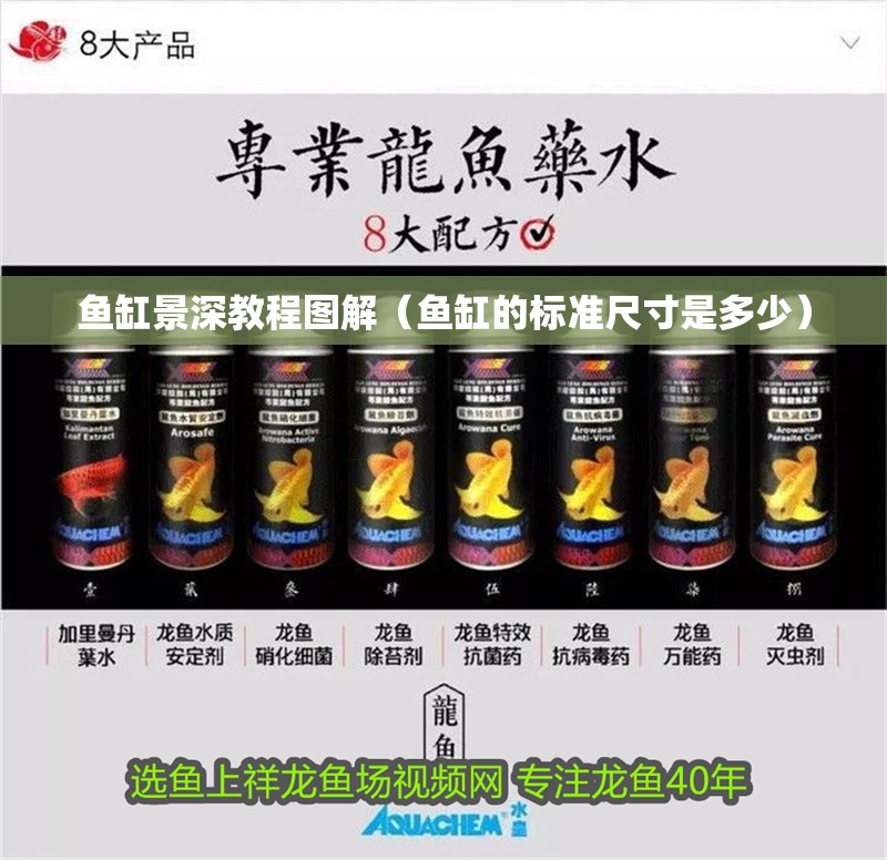 魚缸景深教程圖解（魚缸的標(biāo)準(zhǔn)尺寸是多少）