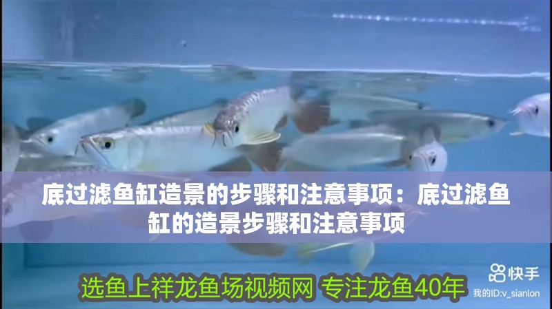 底過濾魚缸造景的步驟和注意事項：底過濾魚缸的造景步驟和注意事項 底過濾魚缸造景的步驟和注意事項：底過濾魚缸的造景步驟和注意事項 魚缸百科