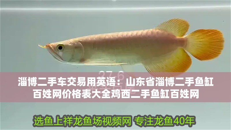 淄博二手車(chē)交易用英語(yǔ)：山東省淄博二手魚(yú)缸百姓網(wǎng)價(jià)格表大全雞西二手魚(yú)缸百姓網(wǎng) 淄博二手車(chē)交易用英語(yǔ)：山東省淄博二手魚(yú)缸百姓網(wǎng)價(jià)格表大全雞西二手魚(yú)缸百姓網(wǎng) 魚(yú)缸百科