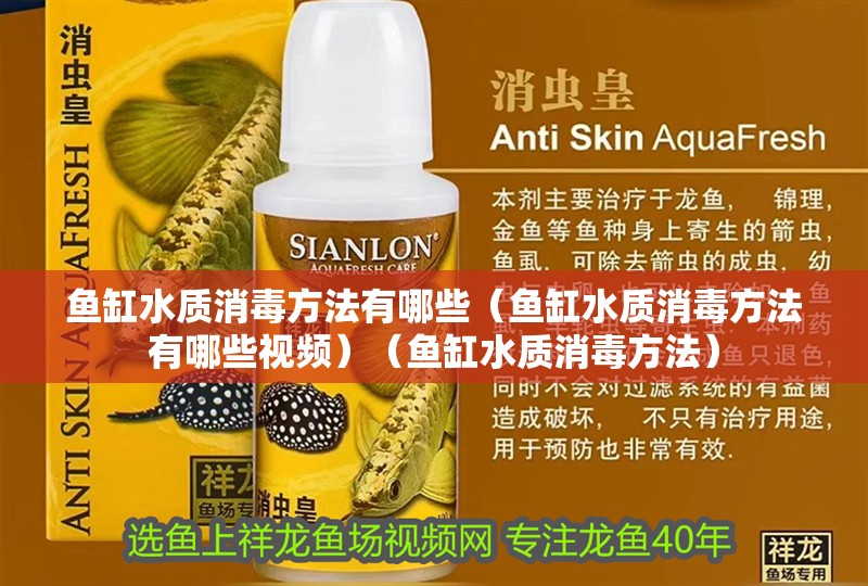 魚缸水質(zhì)消毒方法有哪些（魚缸水質(zhì)消毒方法有哪些視頻）（魚缸水質(zhì)消毒方法）