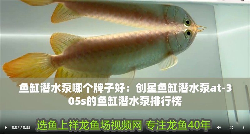 魚缸潛水泵哪個牌子好：創(chuàng)星魚缸潛水泵at-305s的魚缸潛水泵排行榜 魚缸潛水泵哪個牌子好：創(chuàng)星魚缸潛水泵at-305s的魚缸潛水泵排行榜 魚缸百科