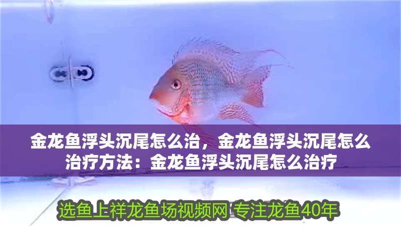魚缸用增氧泵價格是多少:魚缸增氧機-xtrac增氧機-xtrac增氧機 金龍魚浮頭沉尾怎么治,金龍魚浮頭沉尾怎么治療方法:金龍魚浮頭沉尾怎么治療 龍魚百科 金龍魚浮頭沉尾怎么治,金龍魚浮頭沉尾怎么治療方法:金龍魚浮頭沉尾怎么治療 金龍魚浮頭沉尾怎么治,金龍魚浮頭沉尾怎么治療方法:金龍魚浮頭沉尾怎么治療 龍魚百科