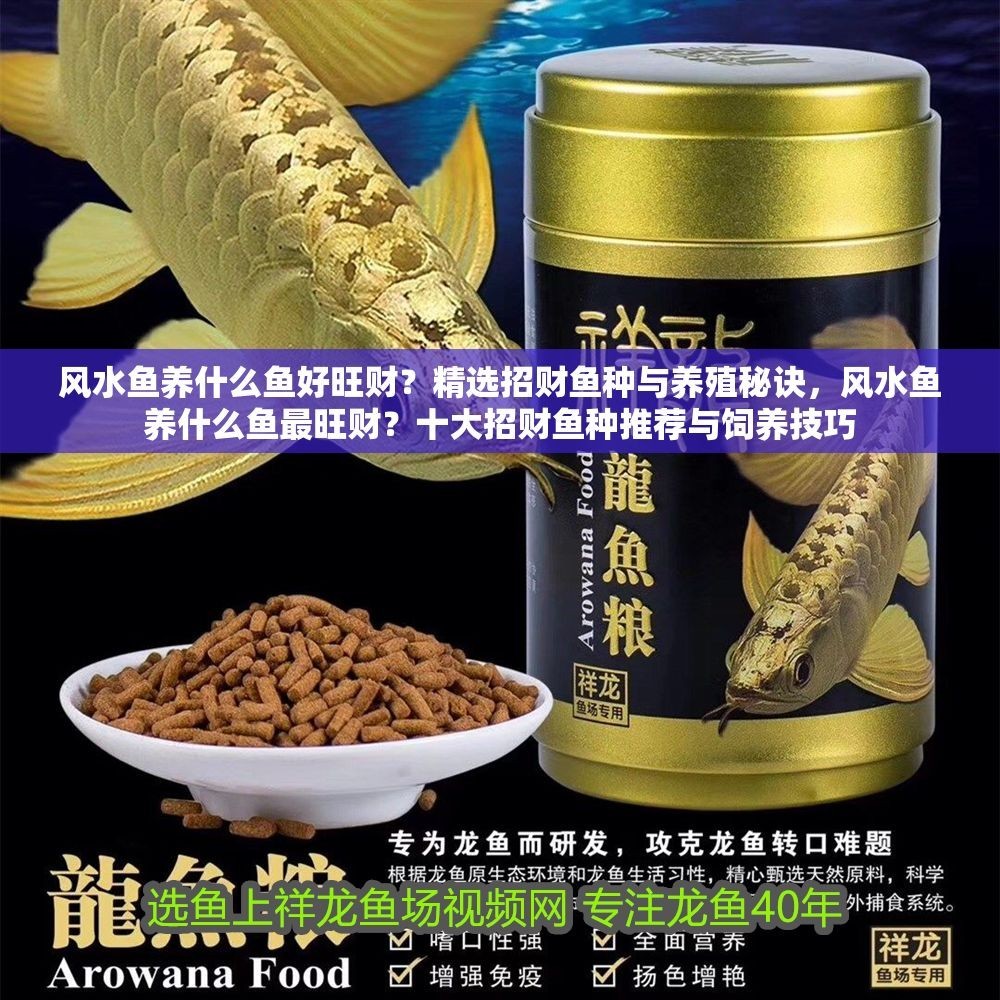 風水魚養什么魚好旺財？精選招財魚種與養殖秘訣，風水魚養什么魚最旺財？十大招財魚種推薦與飼養技巧