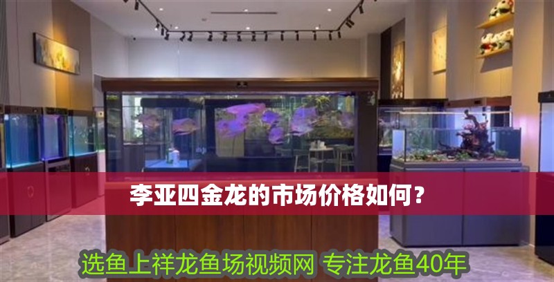 李亞四金龍的市場價格如何？