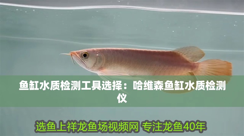魚缸水質檢測工具選擇：哈維森魚缸水質檢測儀 魚缸水質檢測工具選擇：哈維森魚缸水質檢測儀 魚缸百科