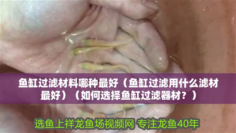 魚缸過濾材料哪種最好（魚缸過濾用什么濾材最好）（如何選擇魚缸過濾器材？） 魚缸過濾材料哪種最好（魚缸過濾用什么濾材最好）（如何選擇魚缸過濾器材？） 魚缸百科