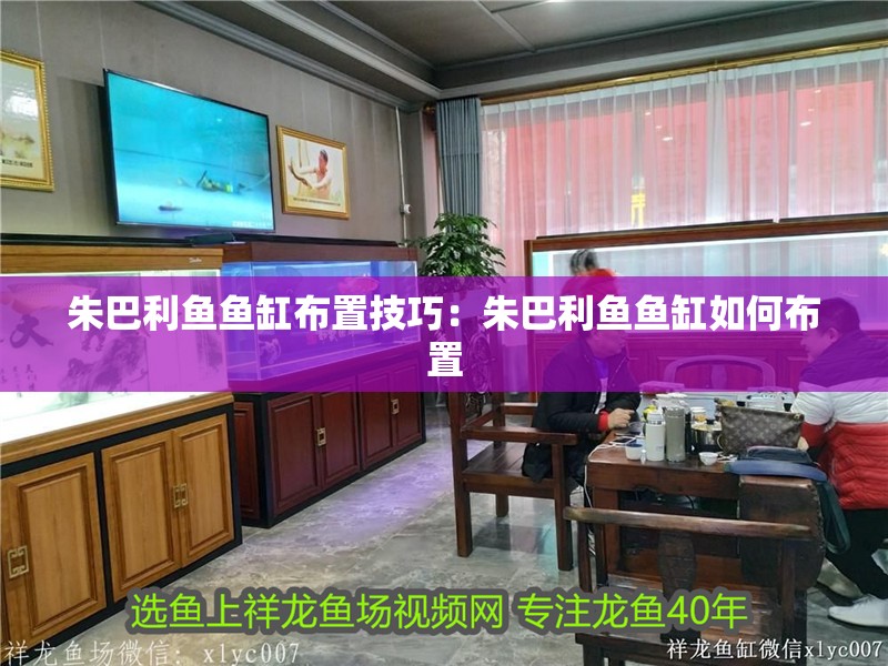 朱巴利魚魚缸布置技巧：朱巴利魚魚缸如何布置